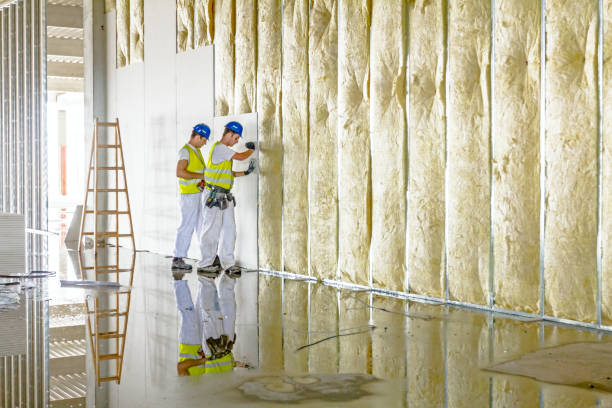 Best Soundproof Insulation Installation  in Gilmer, TX